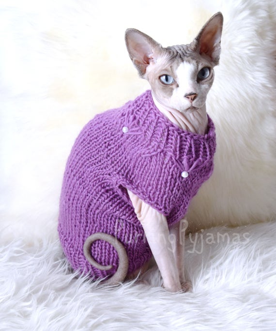 Pull chat, sphynx pull, vêtements de chat, sphynx vêtements, pull pour les sphynx, pour chat, pull chat sphynx, sphynx, vêtements pour animaux de compagnie,